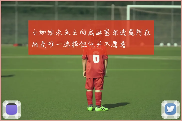 小蜘蛛未来去向成谜塞尔透露阿森纳是唯一选择但他并不愿意